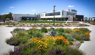 New Building Opens on UC Davis Veterinary Medicine Campus